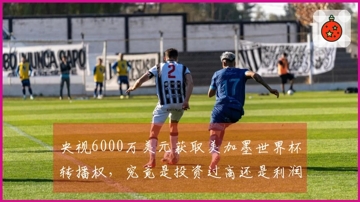 央视6000万美元获取美加墨世界杯转播权，究竟是投资过高还是利润可观？